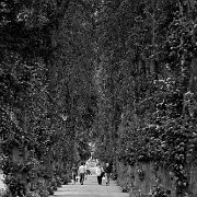 IMG_6884_bw_t-2 Caterbury, United Kingdom