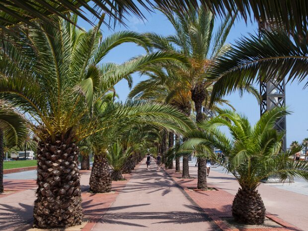 Spain