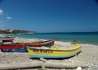 DSC01905