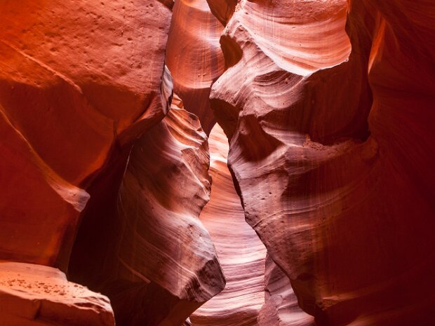 Arizona