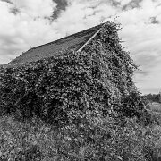 2014-07-19_19830_WTA_5DM3