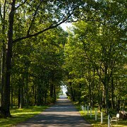 2006-09-04_13876_WTA_5DM1