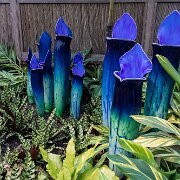 2017-06-23_21162_WTA_5DM4 Phipps Conservatory and Botanical Gardens is a botanical garden set in Schenley Park, Pittsburgh, Pennsylvania, United States. It is a City of Pittsburgh...