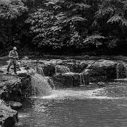 2021-07-18_43769_WTA_R5 Whitaker Falls, Webster County, West Virginia
