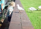 DSC00591