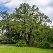 2023-05-12_196924_WTA_R5-2 Afton Villa Gardens is a historic estate located in St. Francisville, Louisiana. The estate was first established in the 1820s by David Barrow, a wealthy...