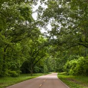 2023-05-11_191739_WTA_R5 The Natchez Trace, an iconic historic trail in the United States, weaves its way through the picturesque landscapes of the southern states. Tracing its origins...