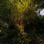 2017-06-23_21371_WTA_5DM4 Phipps Conservatory and Botanical Gardens is a botanical garden set in Schenley Park, Pittsburgh, Pennsylvania, United States. It is a City of Pittsburgh...