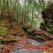 Waterfall Ricketts Glen State Park, Luzerne, Sullivan, and Columbia counties, Pennsylvania
