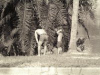 IMG10770  Picture taken while I was stationed in Orlando Florida for US Navy "A" School : ApMadoc, B&W, Black & White, Black and White, Black_White, Florida, Navy, Orlando