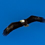 2025-01-25_304187_WTA_R5m2-Edit Jackson, Teton