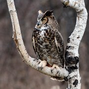 2016-03-19_90820_WTA_5DSR-Edit