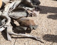 2013-09-21_11-36_34143_WTA_5DM3