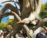 2013-09-21_11-36_34149_WTA_5DM3