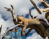 2013-09-21_11-36_34152_WTA_5DM3