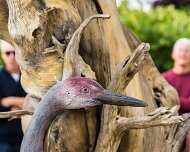 2013-09-21_11-37_34154_WTA_5DM3