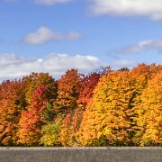 2020-10-10_005072_WTA_R5 Fall Colors