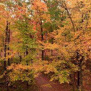 2020-10-12_029509_WTA_Mavic2Pro Kensington - Fall Colors