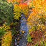 Lanterman's Mill Lanterman's Mill is a historic landmark located in Youngstown, Ohio, USA. Built in the mid-1800s, the mill was originally used for grinding grains into flour...