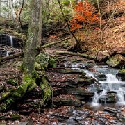 Waterfall Ricketts Glen State Park, Luzerne, Sullivan, and Columbia counties, Pennsylvania
