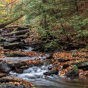 2020-10-23_00817_WTA_R5 Ricketts Glen State Park, Luzerne, Sullivan, and Columbia counties, Pennsylvania