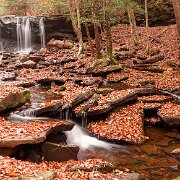 Waterfall Ricketts Glen State Park, Luzerne, Sullivan, and Columbia counties, Pennsylvania