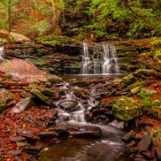 Waterfall Ricketts Glen State Park, Luzerne, Sullivan, and Columbia counties, Pennsylvania