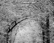 2021-01-18_054291_WTA_R5 Road Trip