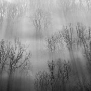 2024-11-18_276504_WTA_Mavic_3 Morning Fog