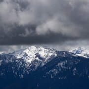 2024-05-07_444666_WTA_R5 2024 Road Trip - Day 35 Hurrican Ridge View Point Port Angeles, Washington
