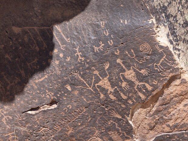 Petrified Forest National Park