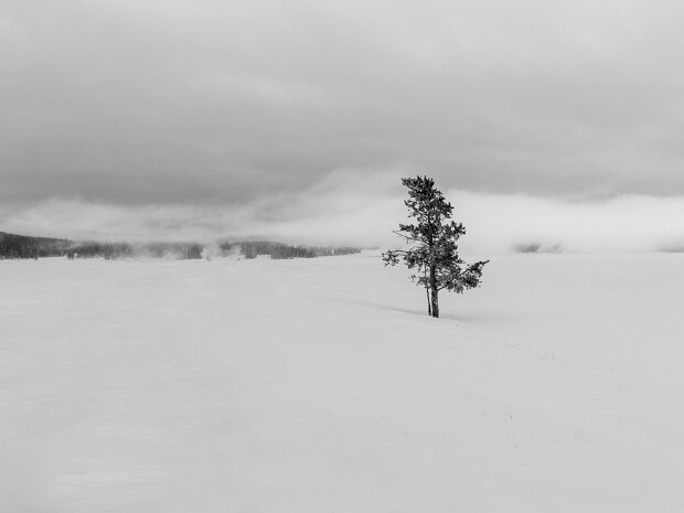 Yellowstone