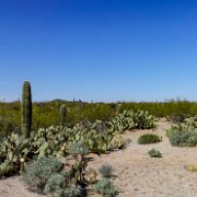 2018-03-23_32449_WTA_5DM4 - Panorama - 16 Images - 33304x6182_0000 Arizona