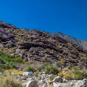 2009-04-03_00817_WTA_5DM2 Indian Canyon Panorama - Original is 13127 x 5328