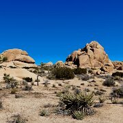 2009-04-04_01165_WTA_5DM2 Joshua Tree National Monument