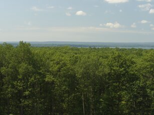 Michigan