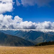 2024-05-07_444499_WTA_R5-HDR-Pano 2024 Road Trip - Day 35 Hurricane Ridge, Port Angeles, Washington