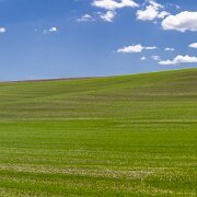2024-05-13_453442_WTA_R5-HDR-Pano 2024 Road Trip - Day 42 Spokane Washington to Pullman Washington