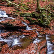2020-10-23_01230_WTA_R5 Ricketts Glen State Park, Luzerne, Sullivan, and Columbia counties, Pennsylvania