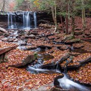 2020-10-23_01259_WTA_R5 Ricketts Glen State Park, Luzerne, Sullivan, and Columbia counties, Pennsylvania
