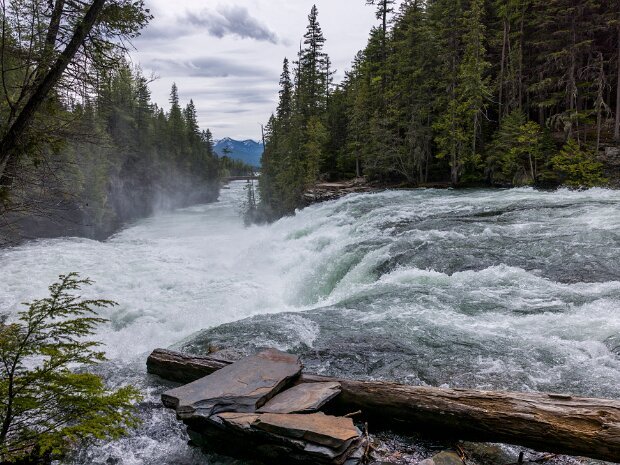 Montana