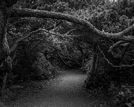 2018-03-27_25326_WTA_5DM4 Patrick's Point State Park is 25 miles (40 km) north of Eureka, California in the heart of California's coast redwood country. The State Park was named for...