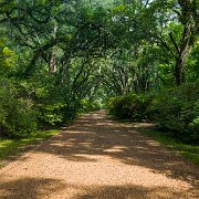 2023-05-12_196826_WTA_R5 Afton Villa Gardens is a historic estate located in St. Francisville, Louisiana. The estate was first established in the 1820s by David Barrow, a wealthy...