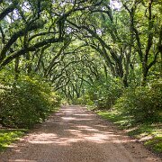 2023-05-12_196932_WTA_R5 Afton Villa Gardens is a historic estate located in St. Francisville, Louisiana. The estate was first established in the 1820s by David Barrow, a wealthy...