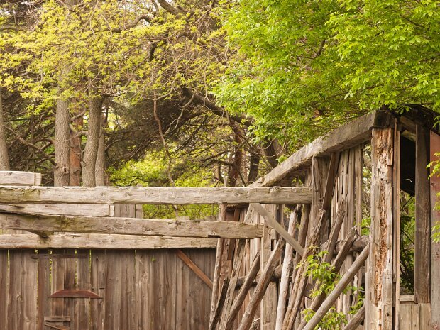 Old Barns