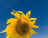 2014-08-28_47217_WTA_5DM3-2