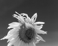 2014-08-28_47217_WTA_5DM3