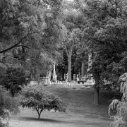 2014-07-05_22254_WTA_5DM3-2 Elmwood Cemetery was originally planned in 1846.[9] The first 42 acres (170,000 m2) were purchased from the George Hunt farm[10] using money from subscriptions...