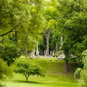 2014-07-05_22254_WTA_5DM3-3 Elmwood Cemetery was originally planned in 1846.[9] The first 42 acres (170,000 m2) were purchased from the George Hunt farm[10] using money from subscriptions...