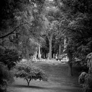 2014-07-05_22254_WTA_5DM3 Elmwood Cemetery was originally planned in 1846.[9] The first 42 acres (170,000 m2) were purchased from the George Hunt farm[10] using money from subscriptions...